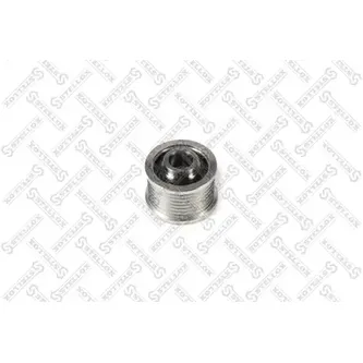 Шкив генератора Renault Duster/Megane/Laguna 1.2-2.0 07> STELLOX 20-01499-SX