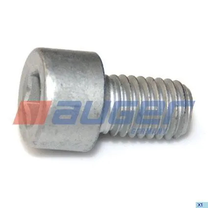 Бoлт M10x16х1,5 внутренняя звездочка BPW AUGER 60392