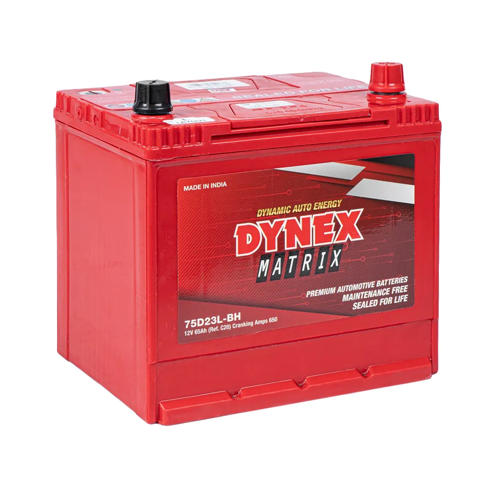 Аккумулятор EXIDE (Dynex) Matrix ASIA 65 А/ч обратный R+ 232x172x225 D23 EN 650 А