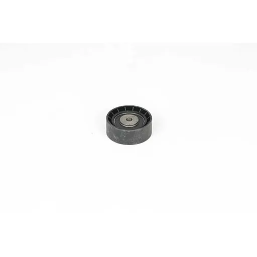 Натяжной подшипник генератора CL?O/KANGOO 98- BSG BSG 75-615-004