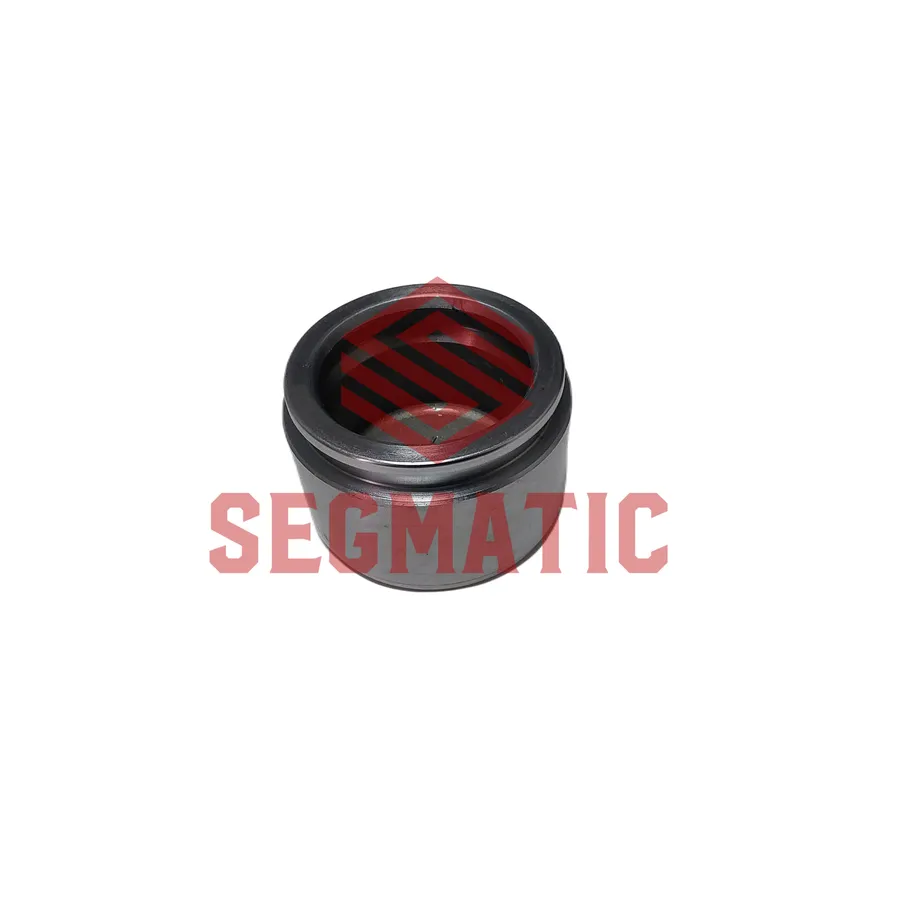 Поршень суппорта TOYOTA Land Criuser(100) 98-07, LEXUS LX470 01-08 SEGMATIC SG500096