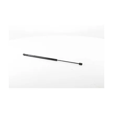 Амортизатор капота DUSTER / DUSTER Panelvan/Van 10- BSG BSG75980024