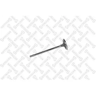 Клапан впускной 33.9х5.5х106.3 Nissan Qashqai/X-Trail 2.0 07> STELLOX 01-24363-SX