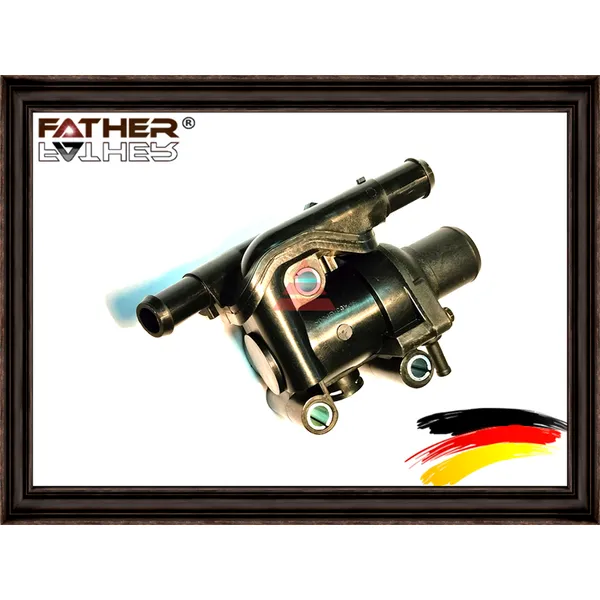 Термостат охлаждающей жидкости FATHER F00161S01