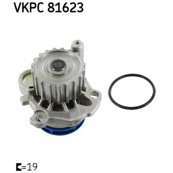Помпа, водяной насос AUDI A3, VW Golf/Bora, SEAT Ibiza 1,9TDi/2,0TDi 00 SKF VKPC81623