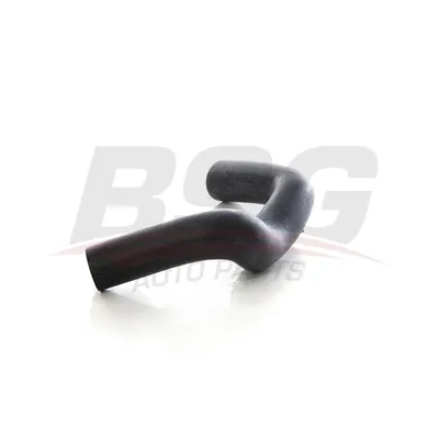 Шланг вентиляции поддона (картера) FOCUS 12- BSG BSG 30-720-283
