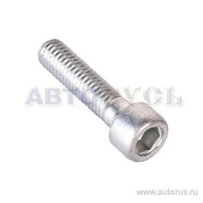 Винт М6x25 с внутренним шестигранником БелЗАН 00001-7002282-708