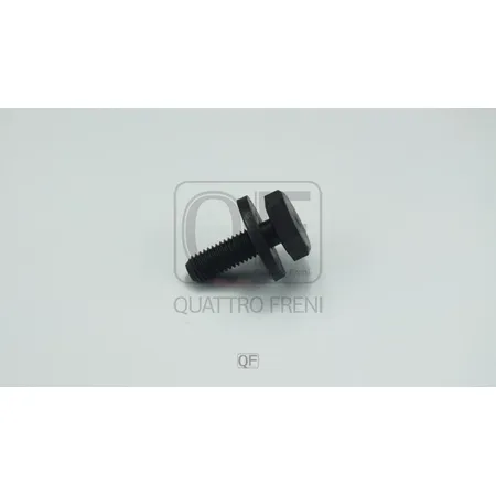 Болт крепежный шестерни распредвала QUATTRO FRENI QF30A00001