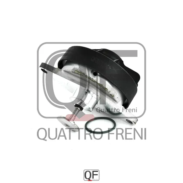 Клапан EGR QUATTRO FRENI QF47A00067