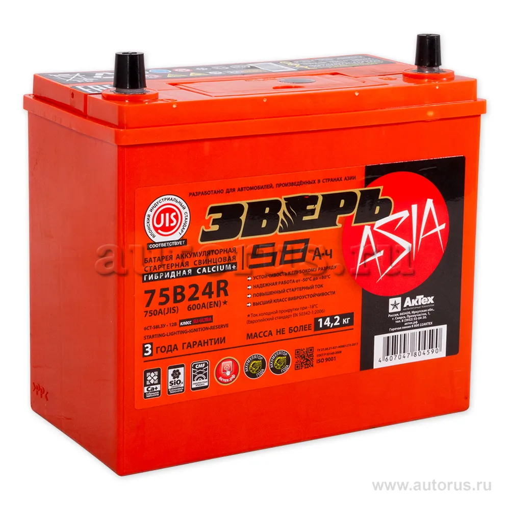 Аккумулятор ЗВЕРЬ ASIA 58 А/ч обратная R+ 238x129x225 EN600 А