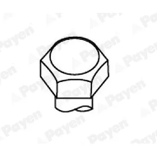Комплект болтов ГБЦ RENAULT 19/Clio/Twingo/Trafic 1.0-1.4 80-98 PAYEN HBS104