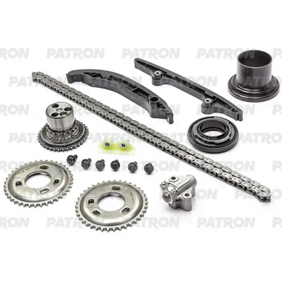 Комплект цепи ГРМ (Цепь-1, Нат-1, Усп-3, Шест-3) FORD: MONDEO, TRANS PATRON PTCK033