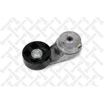 Ролик натяжной c механизмом натяжения Chevrolet Captiva/Antara, Sa STELLOX 03-41041-SX