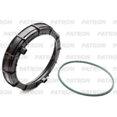 Крышка пластиковая крепл. насоса в топл баке (с прокладкой) PEUGEOT: PATRON P16-0125