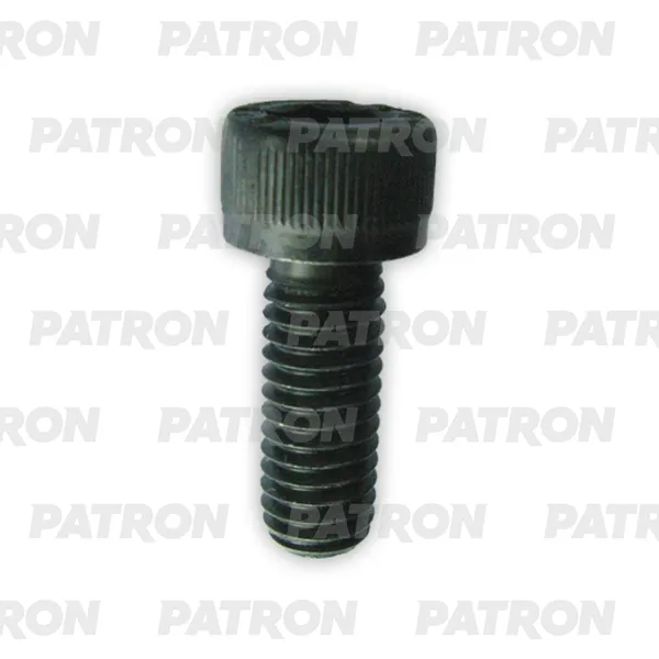 Болт металлический имбус болт универсальный M10X50 PATRON P37-3093T