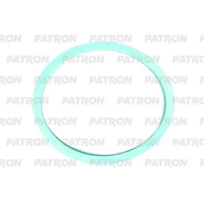 Прокладка впускного коллектора Audi A4/A5/A6/Allroad 3.0TFSi 08> (50,5X2X5,4) PATRON PG5-1106