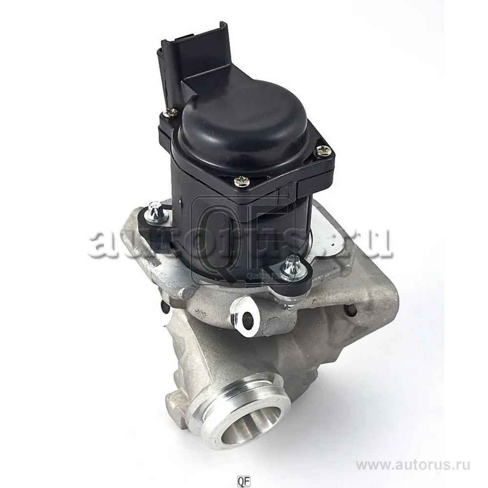Клапан EGR, QUATTRO FRENI QF00T00106