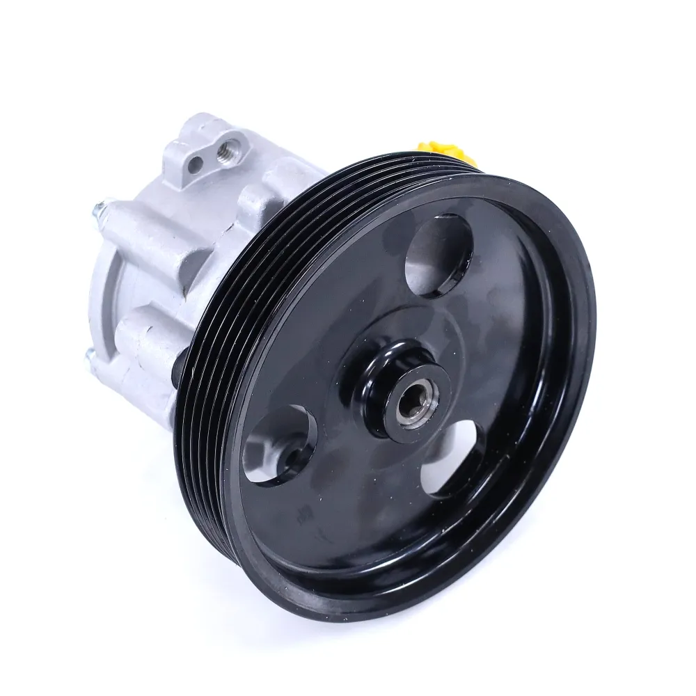 Насос ГУР для а/м Lada Largus/Renault Duster/Logan Riginal RG491108694R