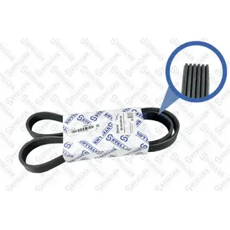 Ремень поликлиновый 6PK1205 Citroen C5/C6/C8, Peugeot 407/607 1.6 STELLOX 06-01205-SX