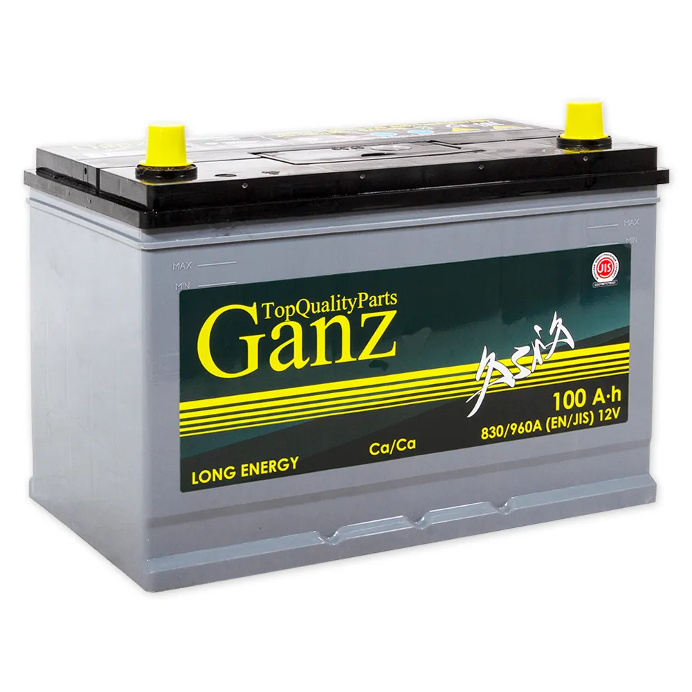 Аккумулятор GANZ ASIA 100 А/ч обратный R+ 304x173x220 D31 EN 830 А