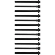 Болты ГБЦ [12 штук] RENAULT SAFRANE II 96-00, VOLVO 850 91-97, 850 уни VICTOR REINZ 14-32152-02