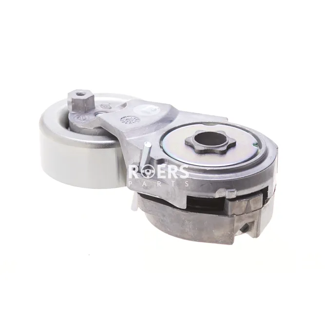 Натяжитель приводного ремня Roers Parts RP11955EN200