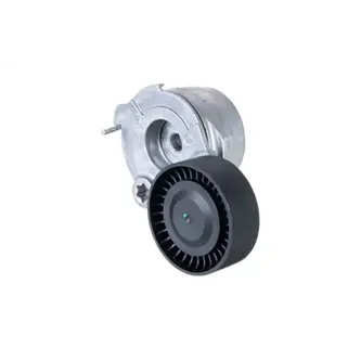 Ролик натяжной с мех-ом натяжения Audi ZENTPARTS Z24241_ZNT
