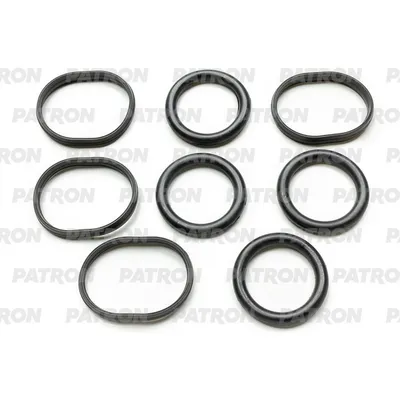 Комплект прокладок коллектора PSA 2.2 HDi (4HT, 4HL, 4HK, 4HR, 4HT) 06> / FORD 2 PATRON PG1-5023