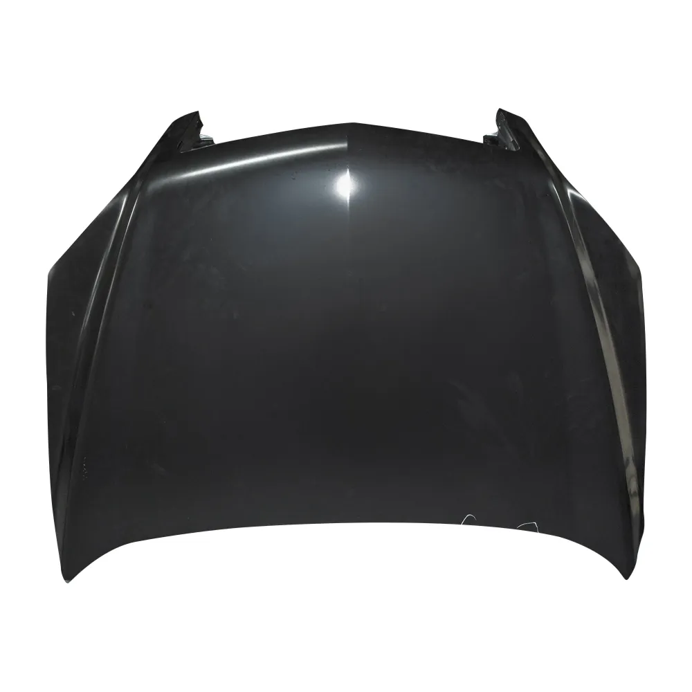 Капот TYG SN20016A