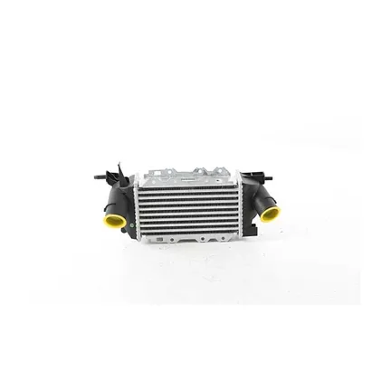 Интеркулер VECTRA B 96-02 BSG BSG 65-535-019