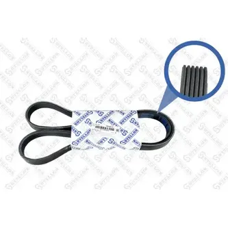 Ремень поликлиновый 6PK1435 Ford Fiesta/Courier/Ka 95>, Mazda 323 STELLOX 06-01435-SX