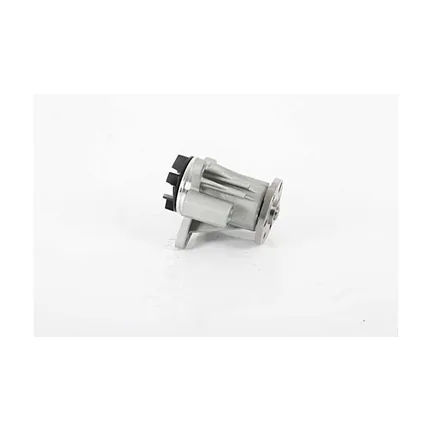 Водяная помпа LAND ROVER RANGE ROVER SPORT- DISCOVERY IV 09-18 BSG BSG 15-500-038