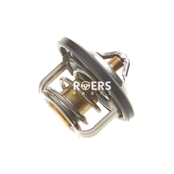 Термостат Roers Parts RP1767063J00