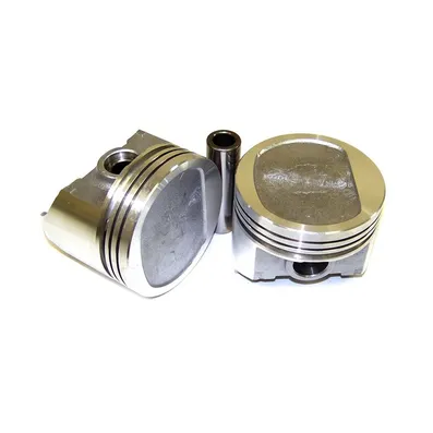 Комплект поршней (6 штук) DNJ P1120