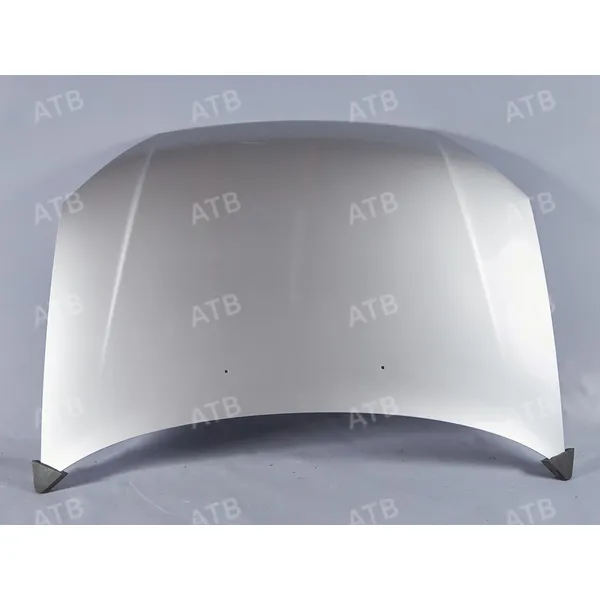 Капот ВАЗ 1118 Платина 691 ATB 1AV18020691