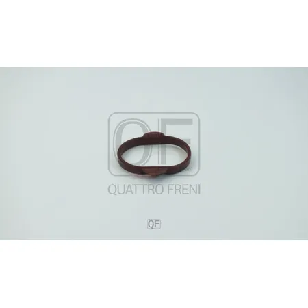 Прокладка впускного коллектора QUATTRO FRENI QF76A00119