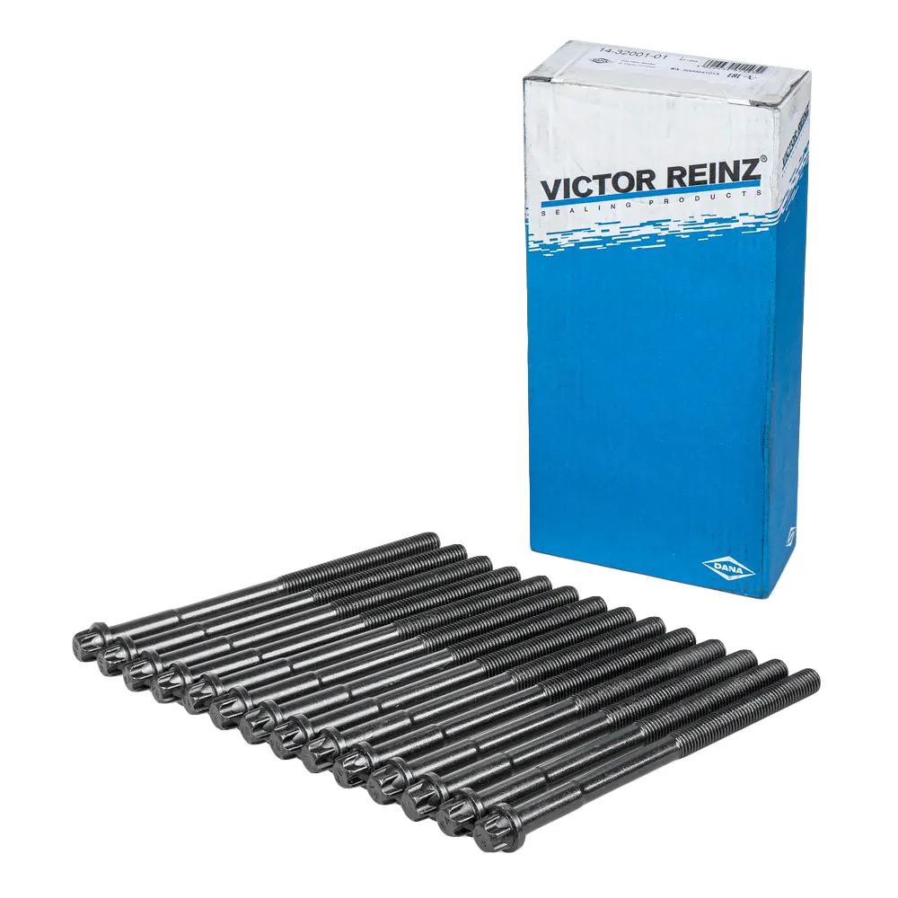 Комплект болтов ГБЦ BMW M50 VICTOR REINZ 14-32001-01