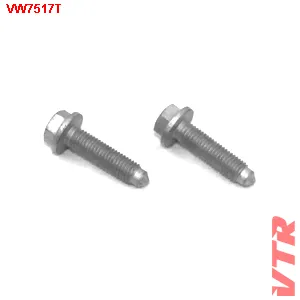 Болт поддона комплект 2 штуки VTR VW7517T