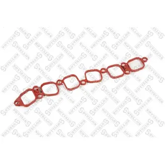 Прокладка коллектора впускного Audi A3/TT, VW Touareg/Golf 3.2 VR6 STELLOX 11-26185-SX