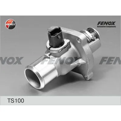 Термостат в сборе FENOX TS100