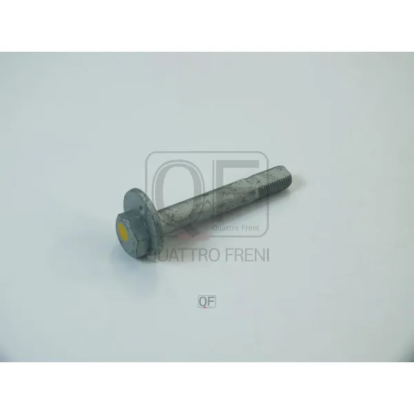 Болт эксцентрик QUATTRO FRENI QF84D00024