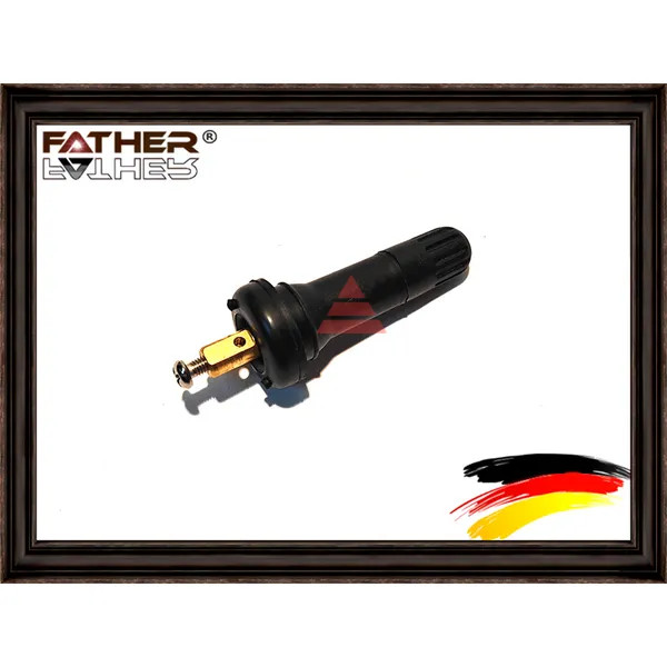 Обратный клапан FATHER F0131S11