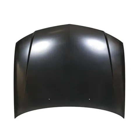 Капот TYG DS20110A