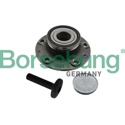 Ступица BORSEHUNG B19310