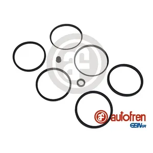 Ремкомплект суппорта SEINSA D4079