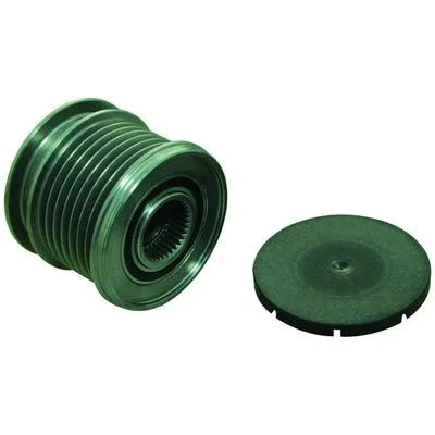 Шкив WAI 2491318