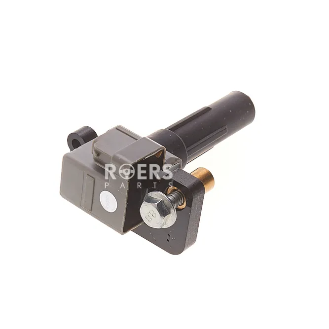 Катушка зажигания Roers Parts RPICA0001