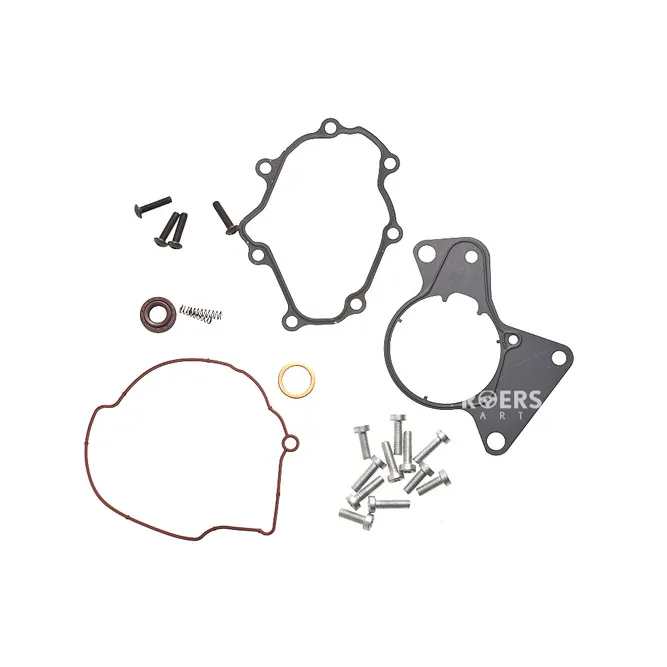 Ремкомплект вакуумного насоса Roers Parts RP070145209F