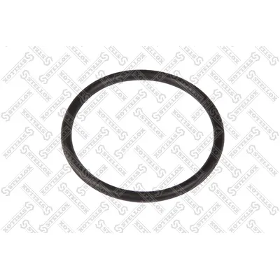 Кольцо уплотнительное (р) 47.5x3.55 RVI Premium/Kerax STELLOX 89-01096-SX