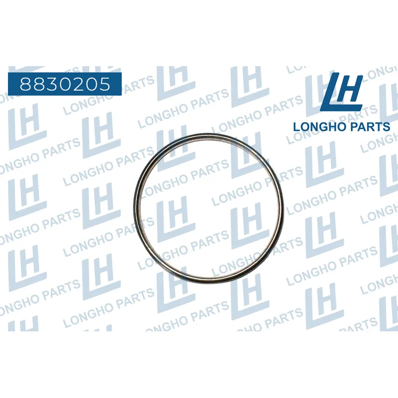 Кольцо уплотнительное, катализатора Daewoo, Chevrolet Spark III, Opel LONGHO 8830205
